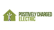 Positively Charged Electric